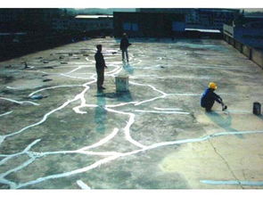 珠海外墻清洗、屋面整體防水補漏及管道疏通綜合服務解析