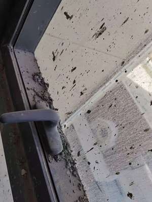 西寧專業(yè)保潔與維修服務(wù)指南 開荒、精保潔、清洗及防水補(bǔ)漏