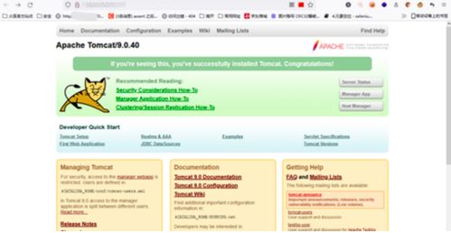 默認(rèn)頁面信息泄露 網(wǎng)絡(luò)安全面試中的關(guān)鍵挑戰(zhàn)與應(yīng)對(duì)策略